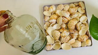 Bottle Decoration With Sea Shell  Home Decorating Ideas  Seashell Bottle Art [upl. by Catlee848]