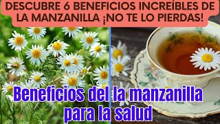 Manzanilla Beneficios  Descubre 6 Beneficios Increíbles de la Manzanilla ¡No te lo Pierdas [upl. by Alhsa]