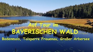 Rad und Wandertour Bayerischer Wald  Bodenmais  Zwiesel  Talsperre Frauenau  Großer Arbersee [upl. by Kenyon]