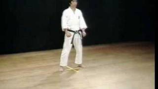 Shotokan Kata Jion  Kanazawa Hirokazu [upl. by Attegroeg601]