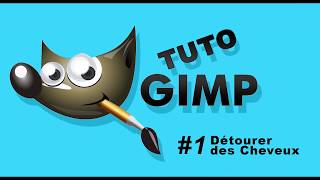 GIMP Tutoriel Comment détourer des cheveux [upl. by Atteynod]