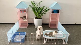 DIY Garden Twin Towers for Pomeranian Poodle amp Bibi Kitten  How to make dog house fun video mr pet [upl. by Lesiram]