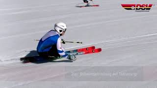 Trainingsübungen Riesenslalom [upl. by Popper]