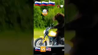 MOSCOW MOSCOW PUTIN Bears in Russia vs america🔥🔥🔥🔥🔥🔥🧨 [upl. by Eintirb]