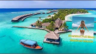 SHERATON FULL MOON MALDIVES REVIEW [upl. by Shurwood]