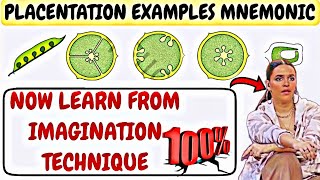 Placentation mnemonics  morphology in flowering plant  examples tricks flowermorphology [upl. by Nemzzaj336]