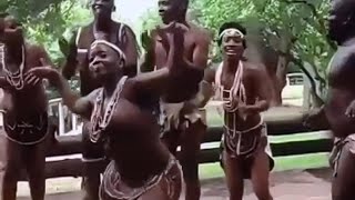 Africa the root of joy music and dance [upl. by Nola]