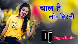 Chal Hai Tor Hirni Nagpuri Dj Song 2023  Nagpuri Dj Remix Song  Nagpuri Song  Aliram Official [upl. by Critchfield]