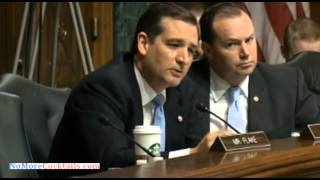 Ted Cruz Hammers Eric Holder on Drone Strikes against Americans [upl. by Nader]