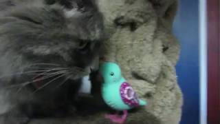 Lolly Polly Little Live Pets meets Lulu the Pest [upl. by Brufsky87]