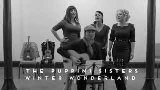 The Puppini Sisters  Winter Wonderland  Derelict Music [upl. by Yrolg]