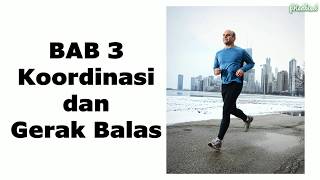 Nota Sains  BAB 3 KOORDINASI DAN GERAK BALAS  KSSM TINGKATAN 1  Fred Kisel [upl. by Pate]