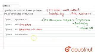 Hydrolytic enzymes  lipases proteases and carbohydrates are found in [upl. by Esil70]