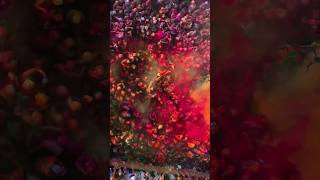 Barsane Ki Holi laddu maar🥰🥰 2024trending viral video ytshortsytshortsNice song [upl. by Gnehs]