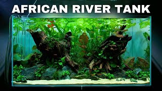 EPIC Africa Aquarium Aquascape Tutorial w Butterfly Cichlid amp Congo Tetra [upl. by Lennaj]