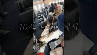 한국에서 미국으로 1시간만에 가는 방법✈️💨 에어프레미아 미국여행 탑승후기 [upl. by Caesaria]