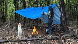 ACAMPAMENTO SELVAGEM  SOZINHA NA FLORESTA COM MEU CACHORRO  MUITA CHUVA [upl. by Tekcirk]