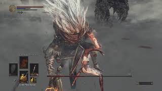 DS3 Nameless King at SL1 hitless and melee only [upl. by Gnay]