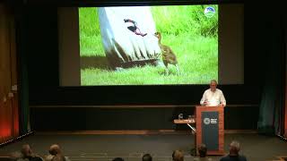 Avian Odyssey 2024 at the Natural History Museum London [upl. by Dnalyram]