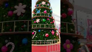 GIANT Christmas tree [upl. by Inoue503]