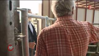 Pauline à la ferme  Documentaire animaux de la ferme [upl. by Hachman760]