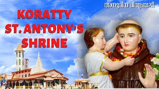 0630am  HOLY MASS  SATURDAY  09th DECEMBER 2023  STANTONY S SHRINE KORATTY [upl. by Fania]