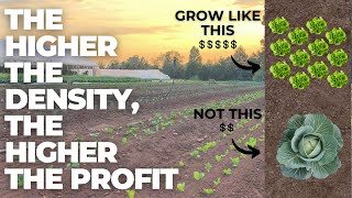 Small Farm Big Profits Master the Art of HighDensity Farming CVR Series 2 of 5 [upl. by Dedra]