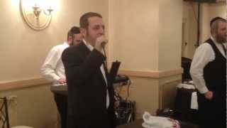 Srully green singing Ki chol peh at a wedding wyossi rosenfeld on the keys [upl. by Assetniuq]