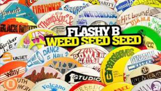 Flashy B  Weed Seed Seed Lazy Body [upl. by Ahsimot369]