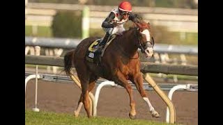 Woodbine Mile Stakes G1 2024 [upl. by Brosine941]