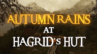 Harry Potter  Rainy Days at Hagrids Hut Ambience amp Music [upl. by Nojad]