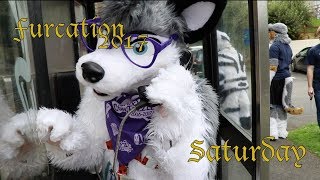 Furcation 2017  Saturday [upl. by Ahsehat488]