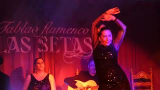 Tablao Flamenco Las Setas Seville [upl. by Aeneg]