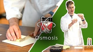 Osmosis  GCSE Science Required Practical [upl. by Abey238]