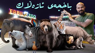 باخچەى ئاژەڵانى هەولێر  حديقة حيوانات اربيل  Erbil Zoo [upl. by Adnaugal]