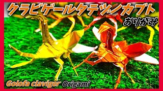 クラビゲールタテヅノカブトおりがみGolofa claviger origami [upl. by Tlok]