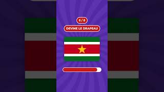 Devine 8 drapeaux en 3 secondes [upl. by Yojenitsirk231]