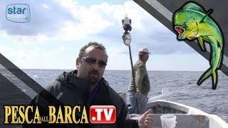 Pesca con i nattelli per prendere le occhiate [upl. by Cherrita]