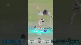 Bro owns Ducket sajid Khancricket [upl. by Victory889]