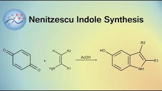 Nenitzescu Indole Synthesis Mechanism  Organic Chemistry [upl. by Ganny]