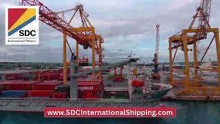 Shipping Cars Internationally in Containers [upl. by Nesnar]