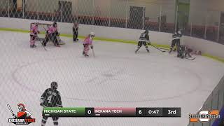 Michigan State at Indiana Tech  Womens Ice Hockey [upl. by Murielle]