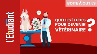 Quelles études pour devenir vétérinaire [upl. by Manny]