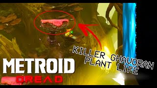 Metroid Dread  Ghavoran Plant Sucker Punch Glitch [upl. by Rosy]