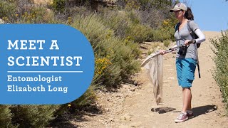 Meet a Scientist NHM Entomologist Elizabeth Long [upl. by Forras]