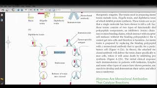 Application of Monoclonal Antibody Immunotoxin production [upl. by Agathe]