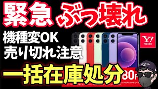 【3連休！一括キタ】機種変更OK。新品iPhone12バラマキ！【ワイモバイル】 [upl. by Verene764]