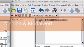 SPSS Mittlewerte und Streuungsmasse [upl. by Judd27]