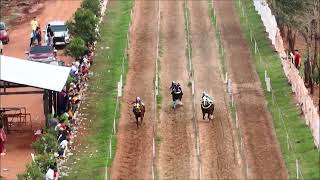 1 PAREO  Pomberi vs Chiquitita vs Galega  Jockey Club Ybypyta  21092024 [upl. by Annawt769]