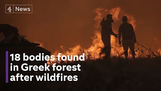 18 bodies found in Greek forest hit by wildfires [upl. by Gristede886]